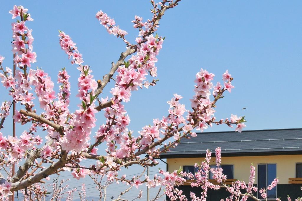 Guesthouse Kanoka Nakano  Bagian luar foto